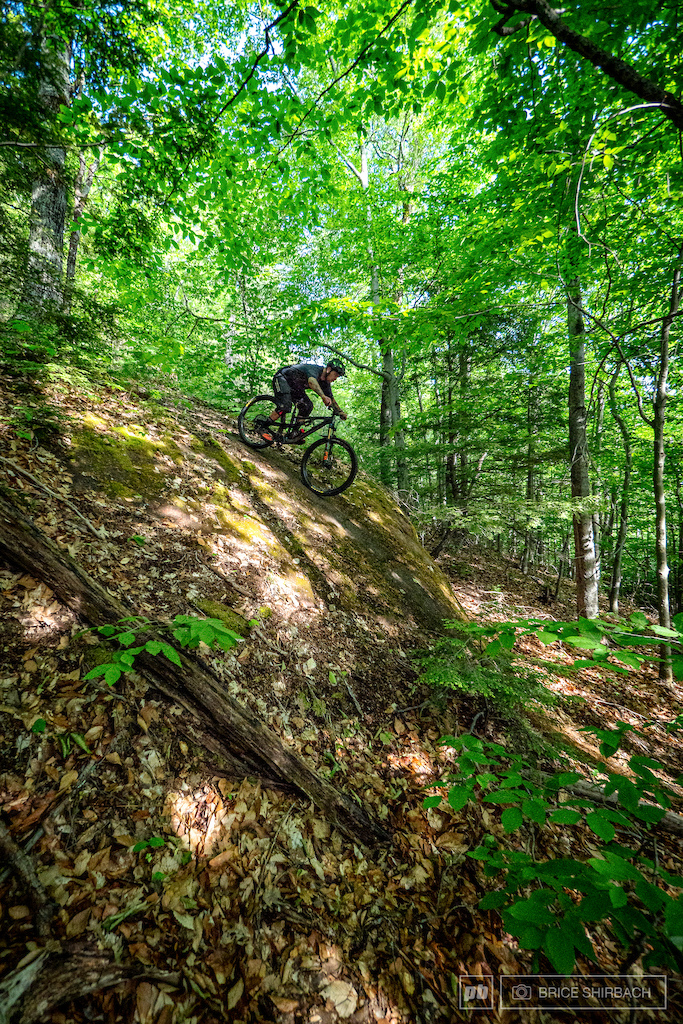 Photos from Local Flavours: North Conway, NH
