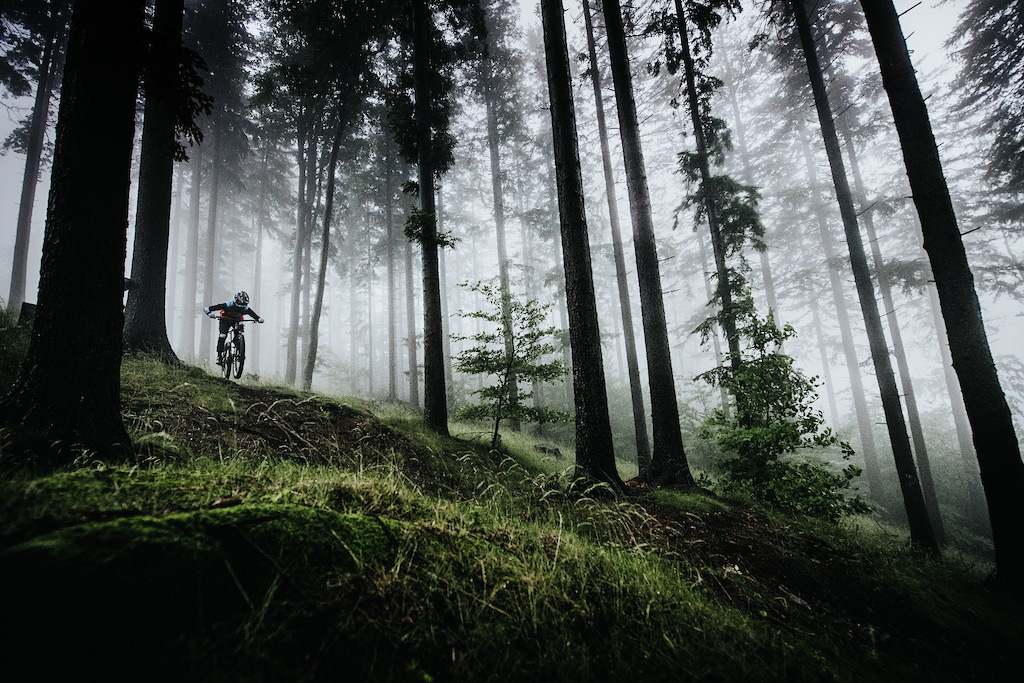 Perfect foggy and rainy conditions on the trails