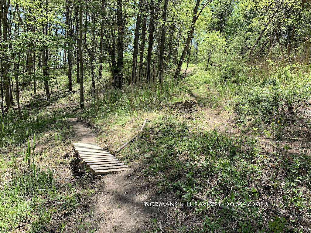 The trails and landscapes of Normans Kill Ravines, at Wright Lane in Bethlehem, NY - 20 May 2020. The site of a significant new nature park.
