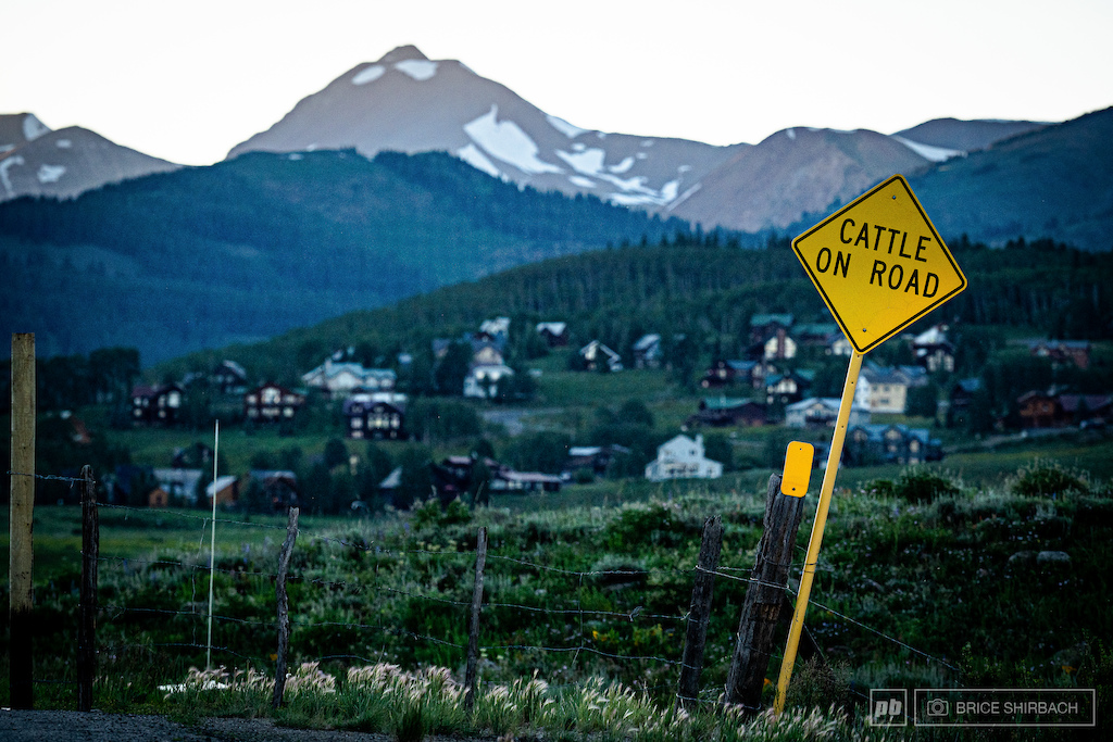 Local Flavours: Crested Butte