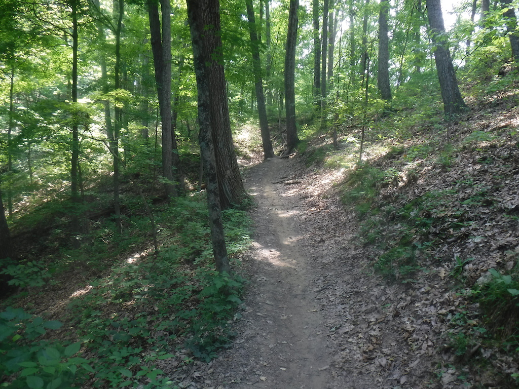 After doing Hobbs Trail and Shelley trail (an easy trail near a - currently - dry river bottom, beautiful), I climbed back up to the parking location (Hesitation Point) on this trail of the same name. It's a good way to climb back up.