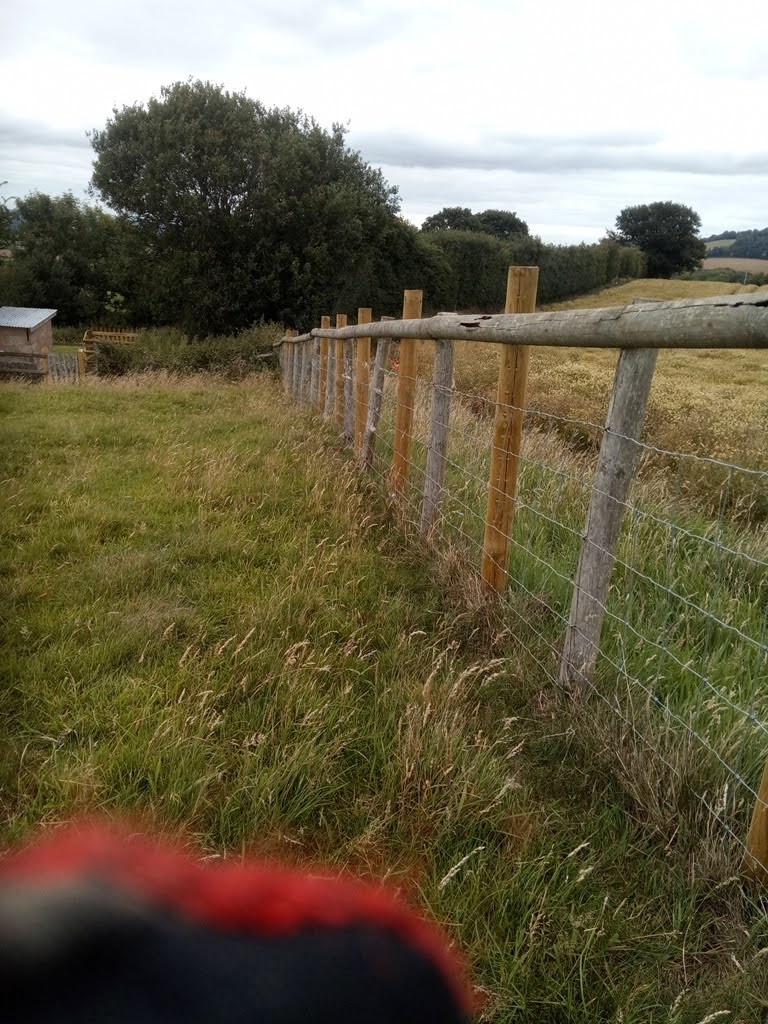Fence with no gate