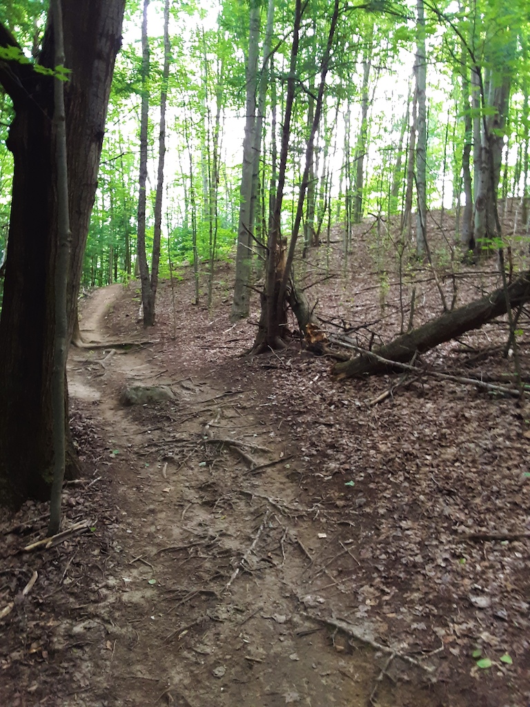 on my way to lung ta via preston loop