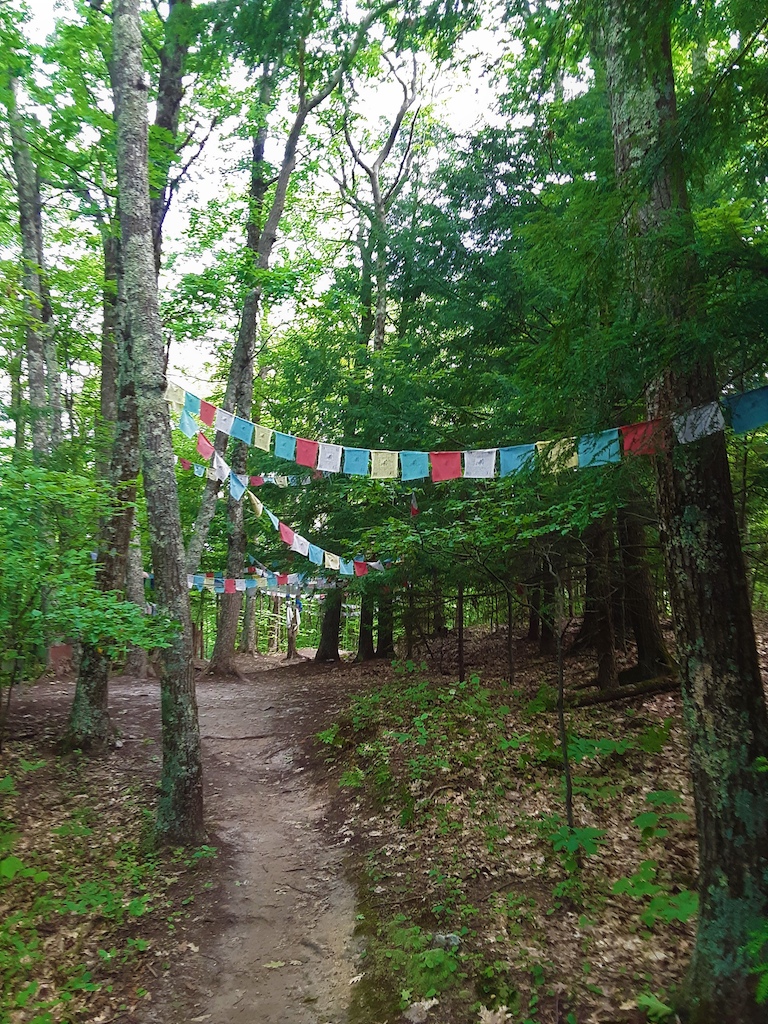 top of lung ta path.