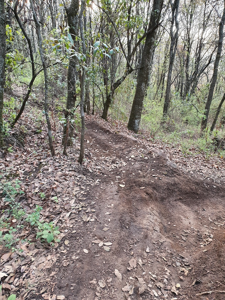 Berm de acceso a línea Canggu