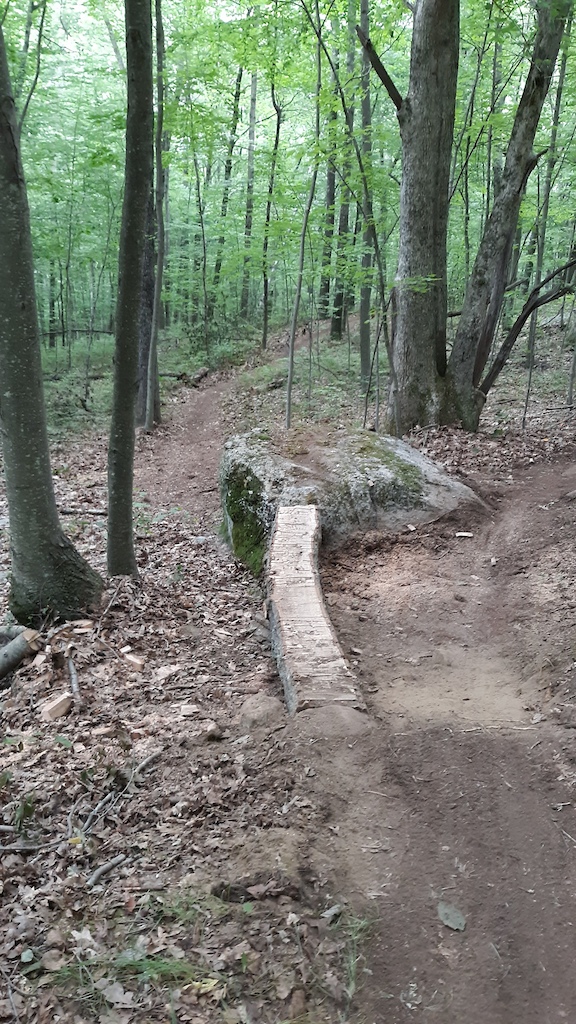 Ride the log and jump off the rock on the left or roll the right.