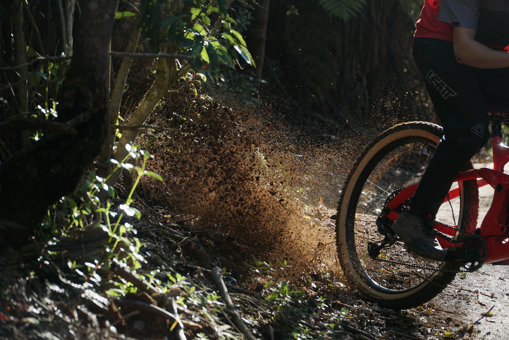 dh mullet bike