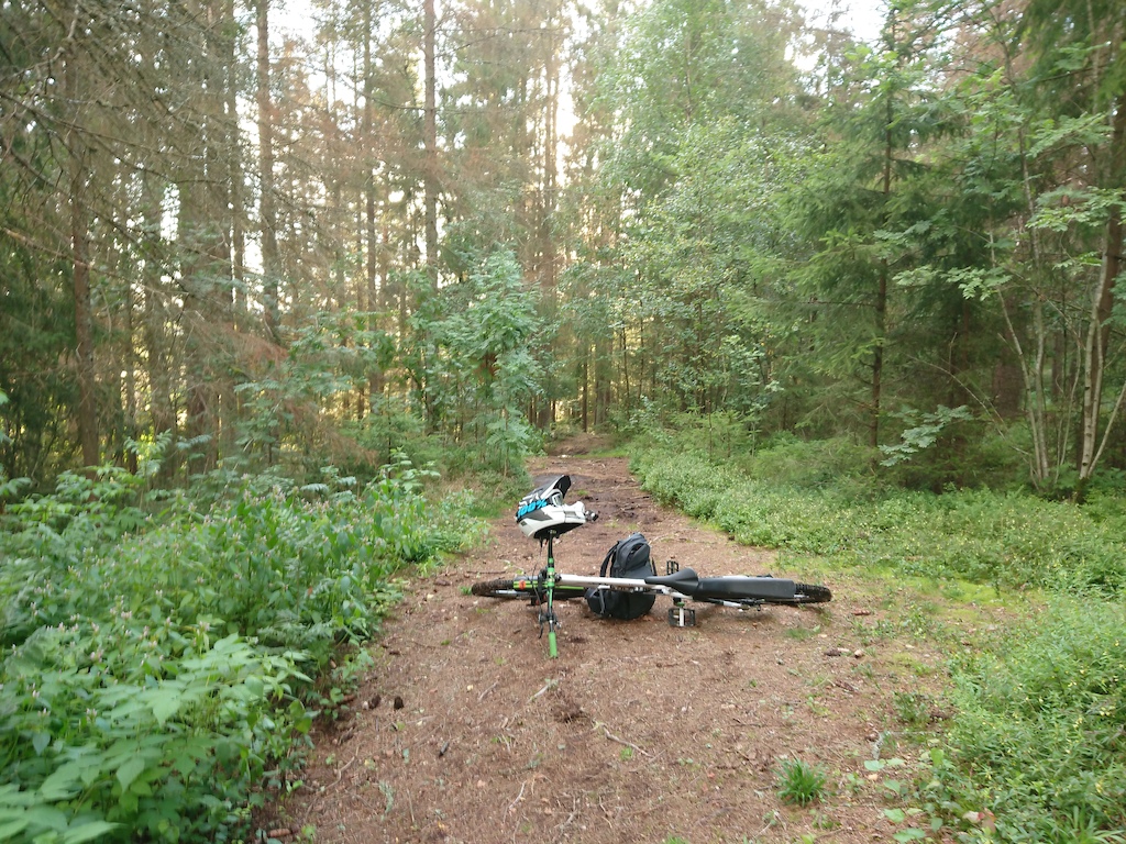 Hovskogen