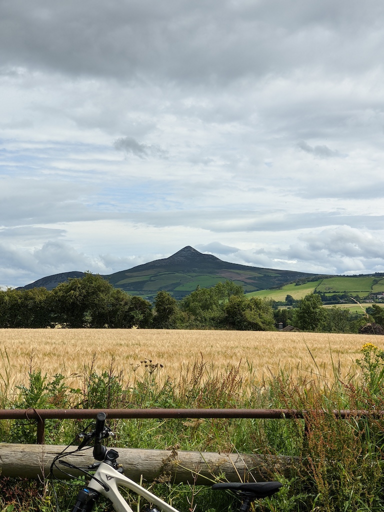 Izzo with the Great Sugar Loaf in the background (detail)