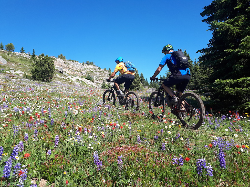 Big alpine climbs/descents and wildflowers=a great day!