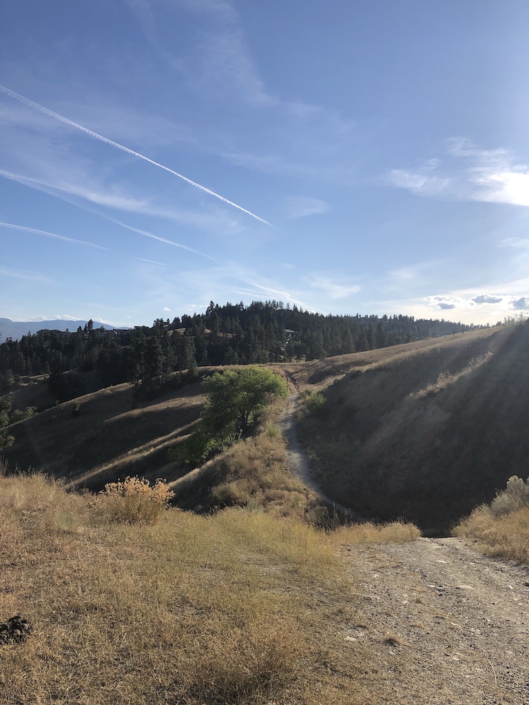 A hiker on a rolling hillside trail with forest and mountain views under a blue sky.
