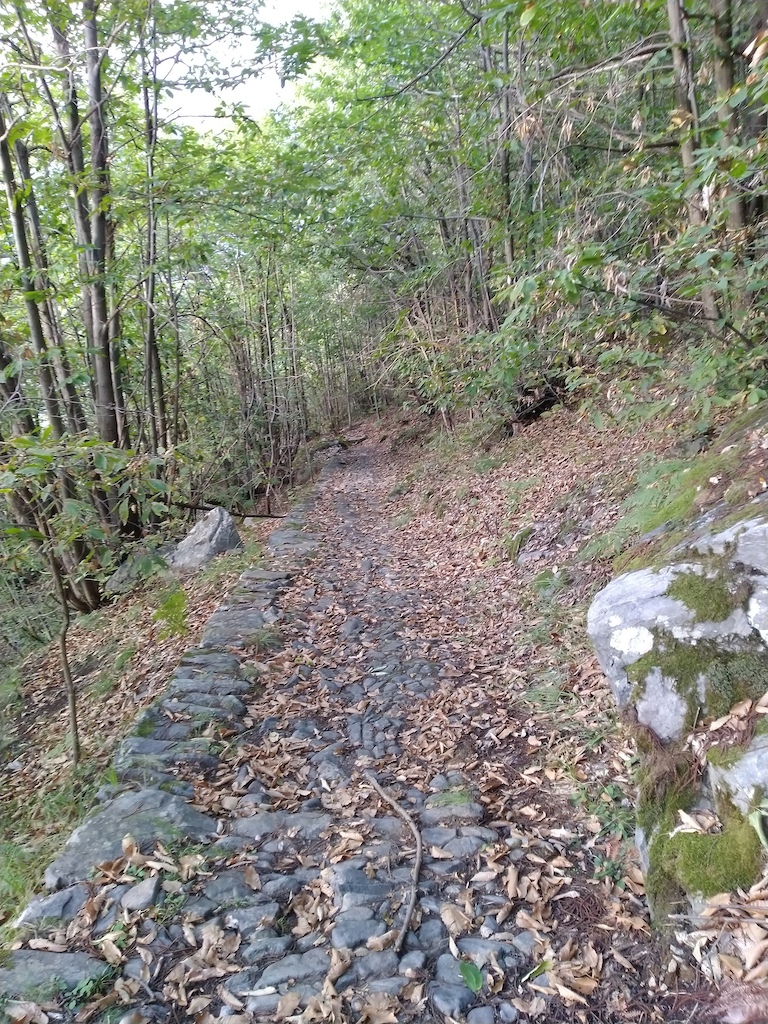 Dettaglio pavimentazione trail