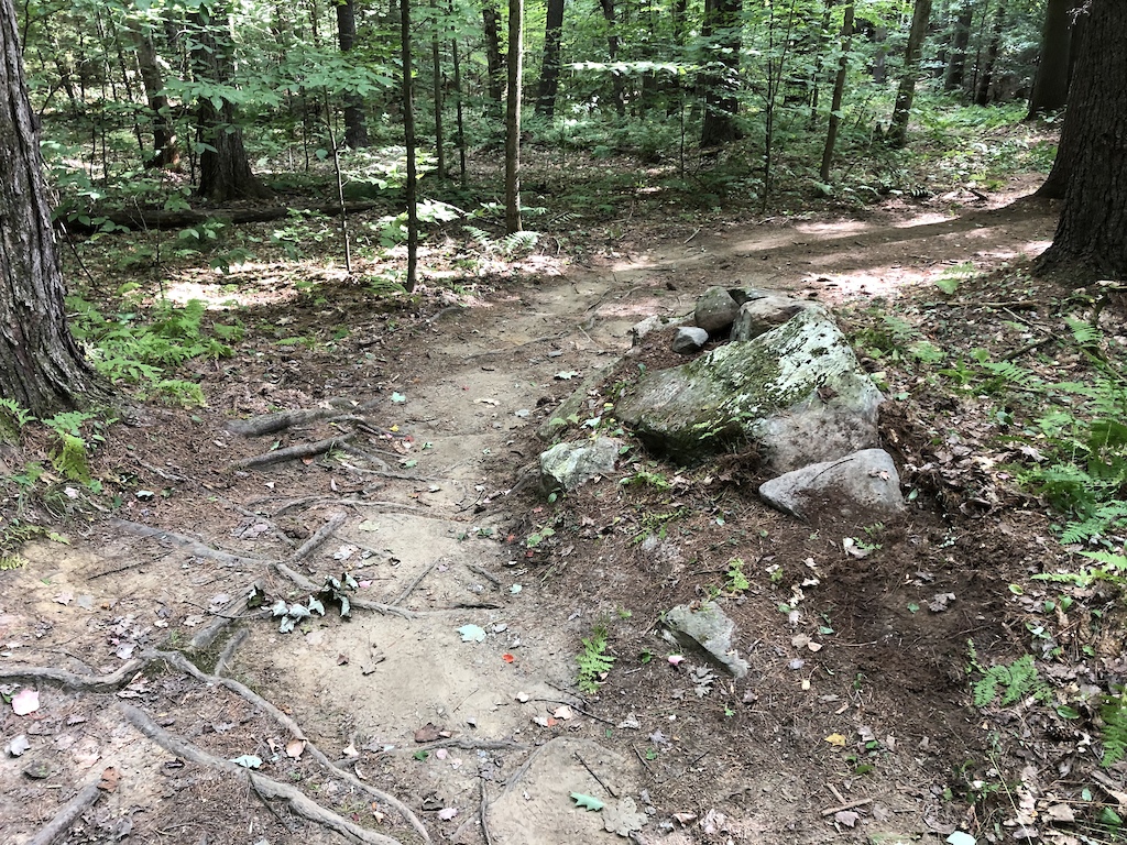 Upper side of rock roll over on Moose Poop trail