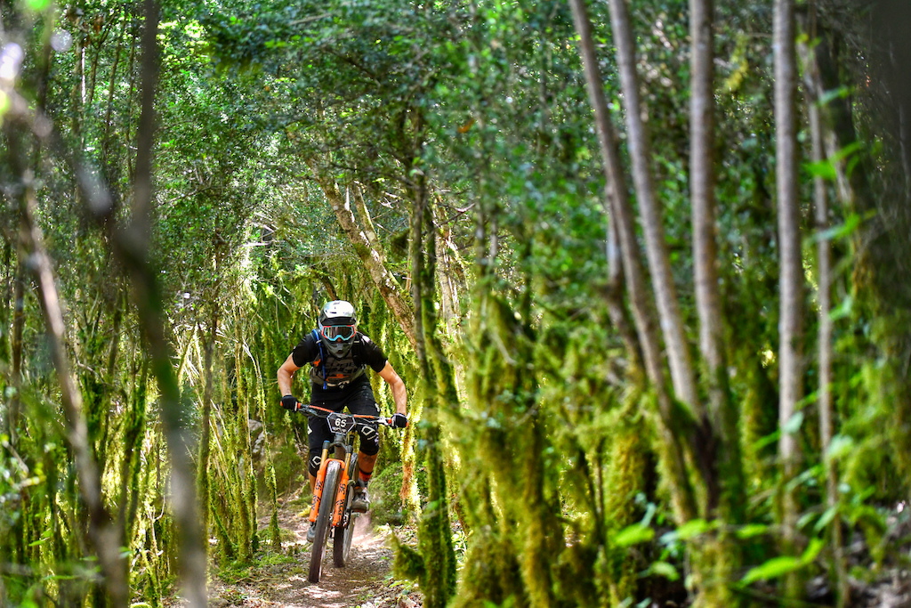 Although is summer and dry stage 5 seems like a trail from Madeira or any other humid place