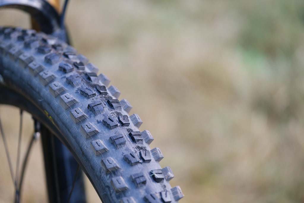 Slaughter GRID 2Bliss Ready Tire – Mike's Bikes