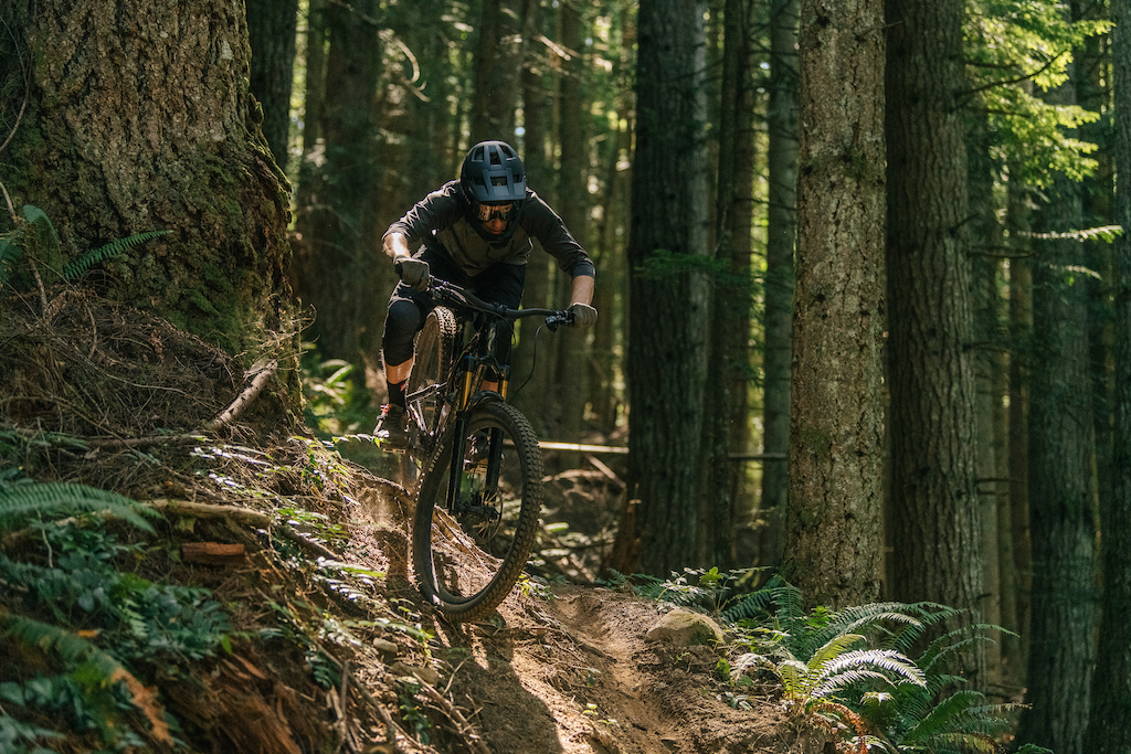 Pinkbike stumpjumper hot sale evo