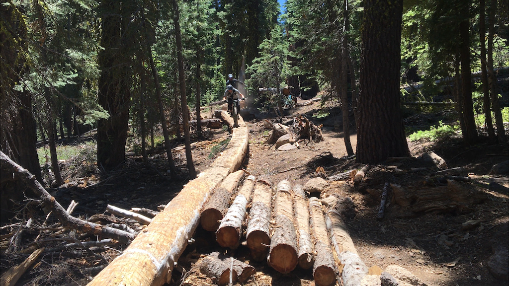 Log ride on the Big Chief trail