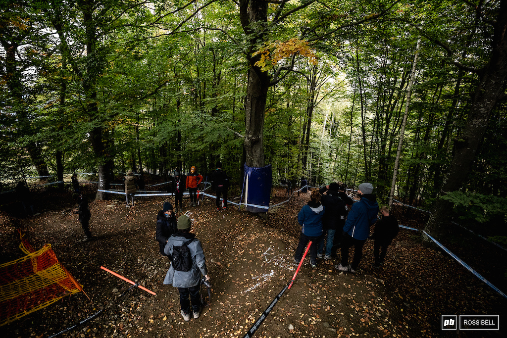 The first split in the 2 tracks is right at the entry to the woods.