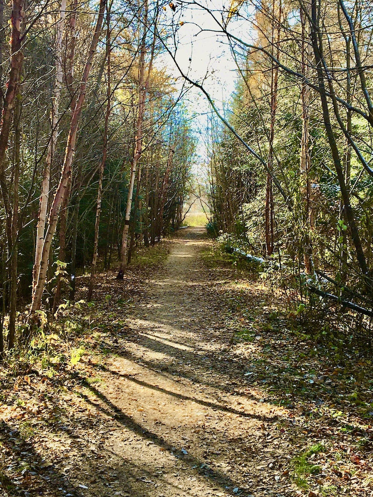 Oct. 2020. LPH Trails, centre trail (south section) (#19498), looking south to where trail exits to field and intersection with Chamberlain St. ring connector trail.