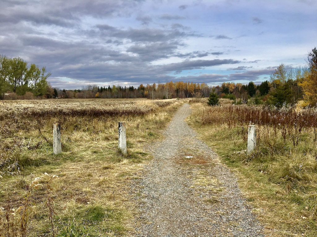 Oct. 2020. LPH Trails, centre trail (south section) (#19498) near Gertrude Ave. & Clarke St. access, looking north.