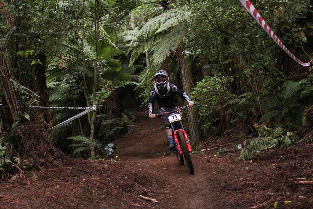 NZDH Rotorua 2020