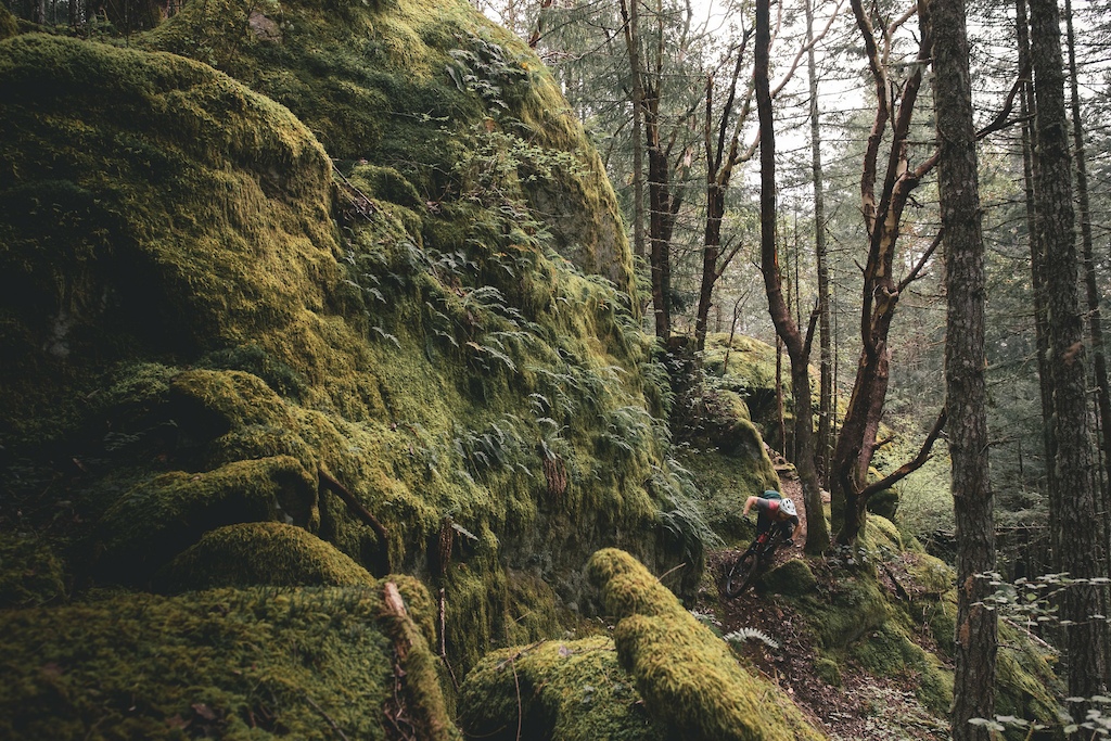 Photo: Max McCulloch