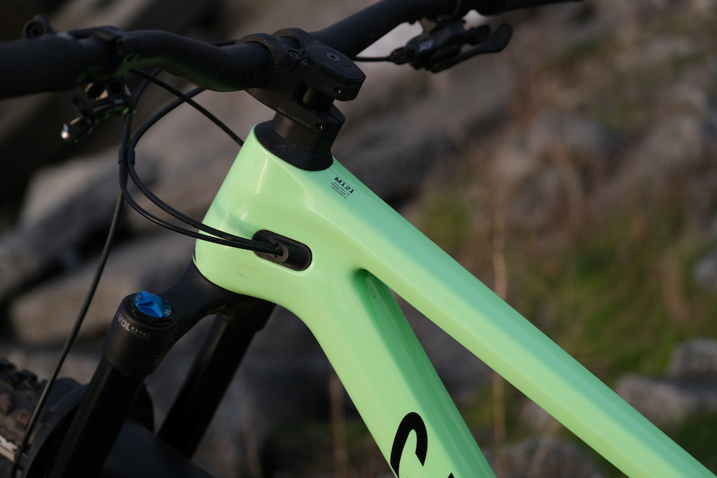 Canyon Spectral 29 2021