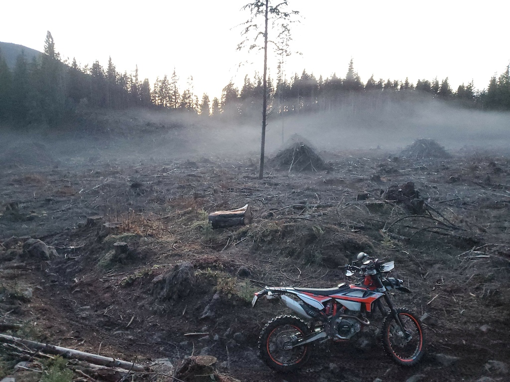 A red and black dirtbike parked on scorched earth in a burned forest with smoke and fog.