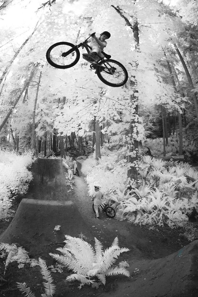 Noir - Dillon Butcher

A Riders Rider