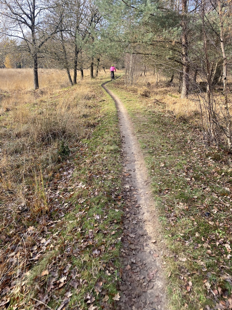 Well maintained single track, easy to recover from the tech parts.
