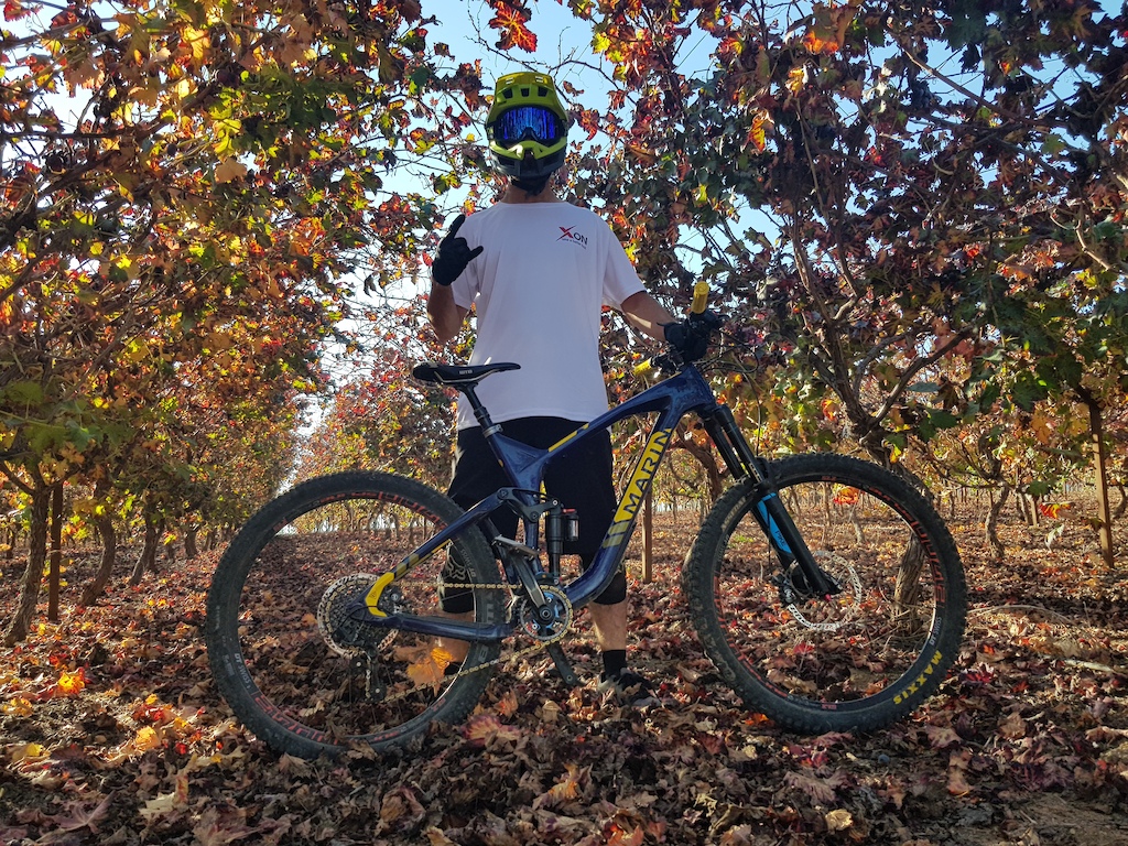 Best time of the year to ride here , the grapes fields are beautiful!