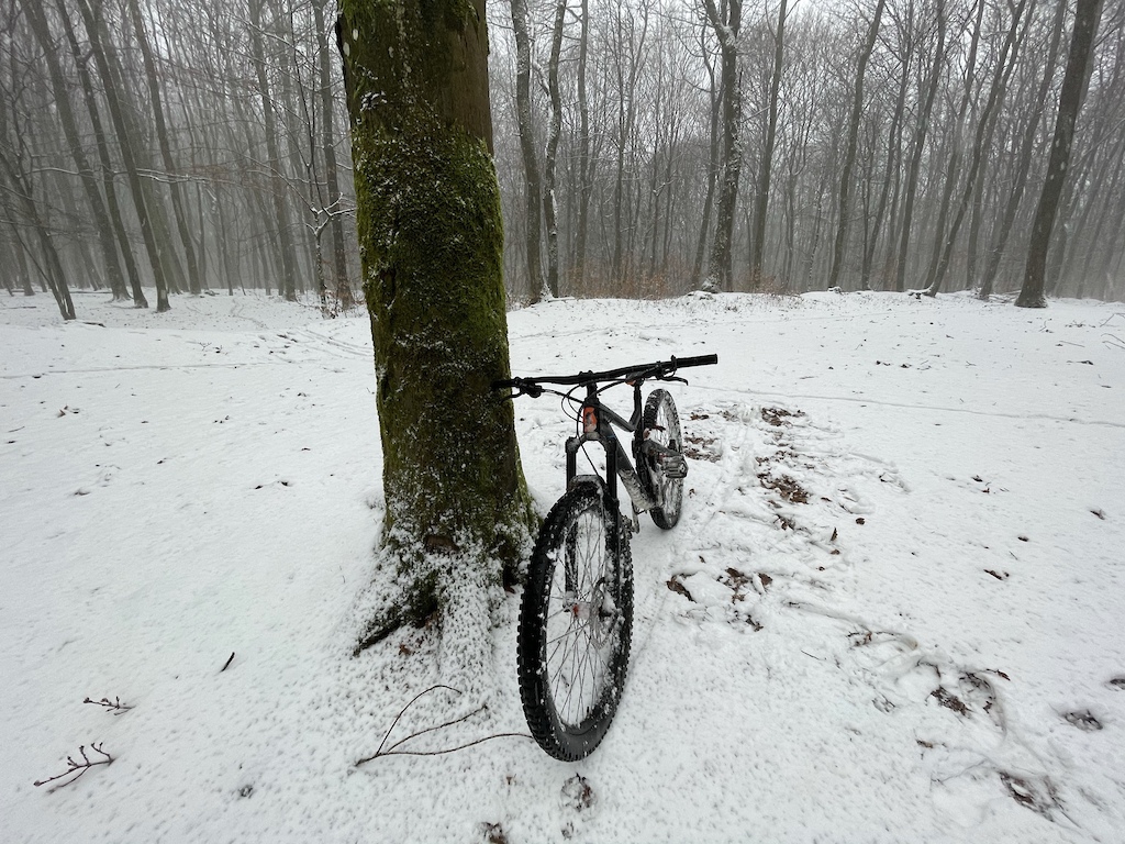 SNOWY DAY !!!