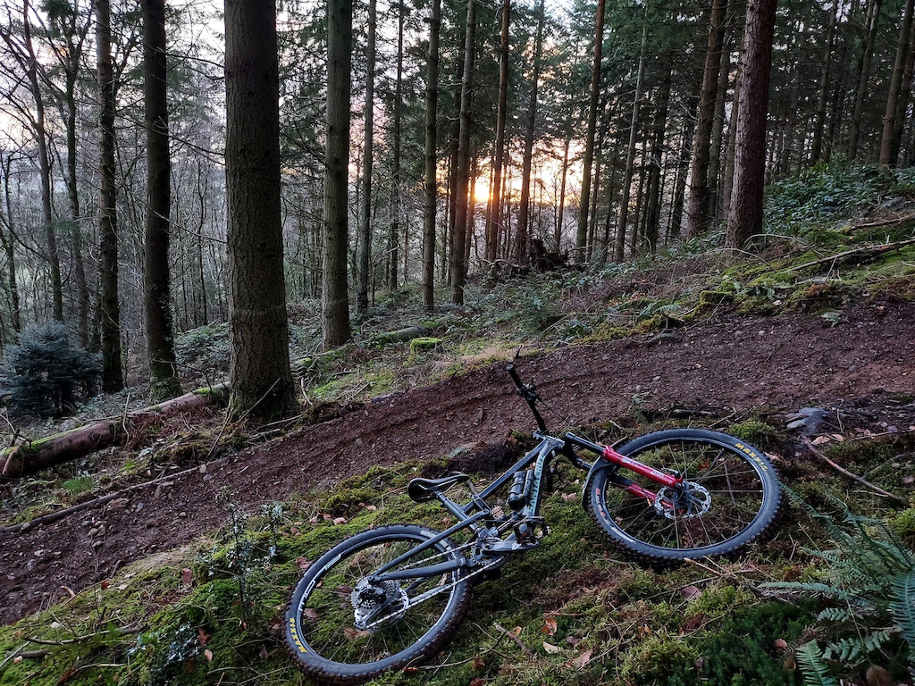 testing new sections of track, up with the sunrise and the birds, love moments like this.
