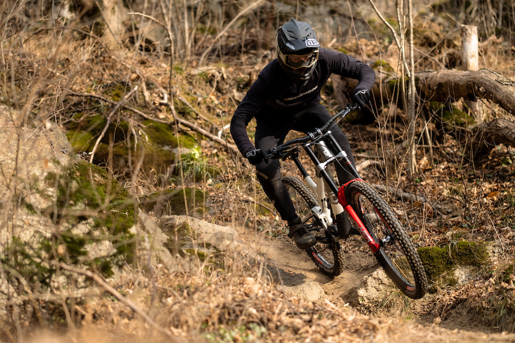 Commencal Supreme DH 29 - 27 Photo Kifcat Shaperideshoot