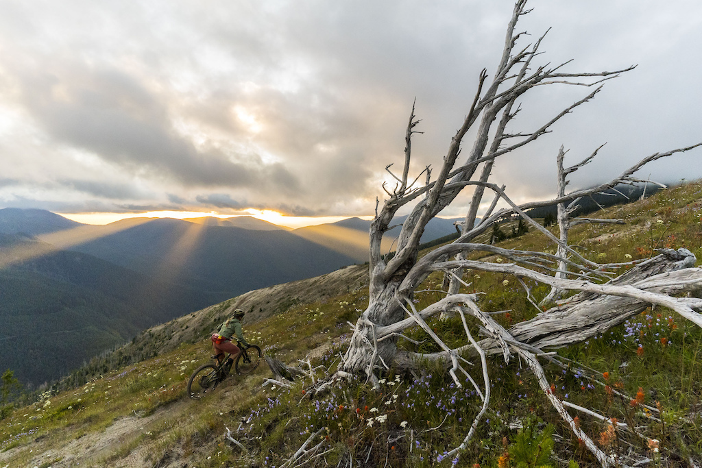 Nikki Rohan pedaling Strawberry Ridge at sunset in the Gifford Pinchot national forest.