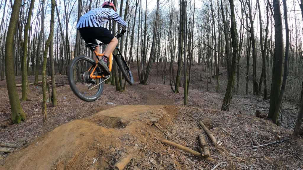 zeszłoroczne