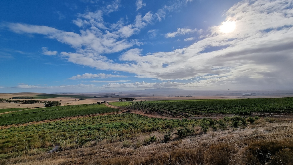 Vista