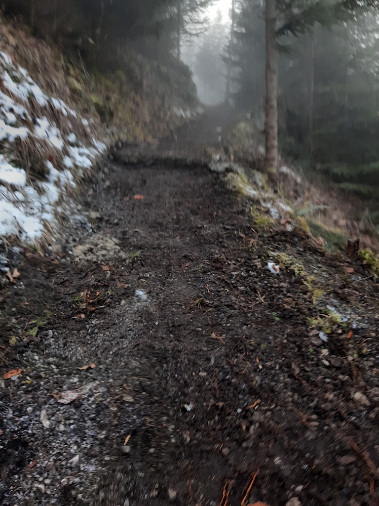 Trail maintenance 2020