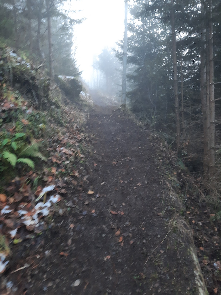 Trail maintenance 2020