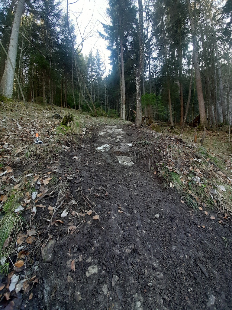 Trail maintenance 2020