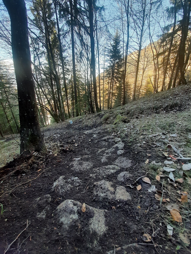 Trail maintenance 2020