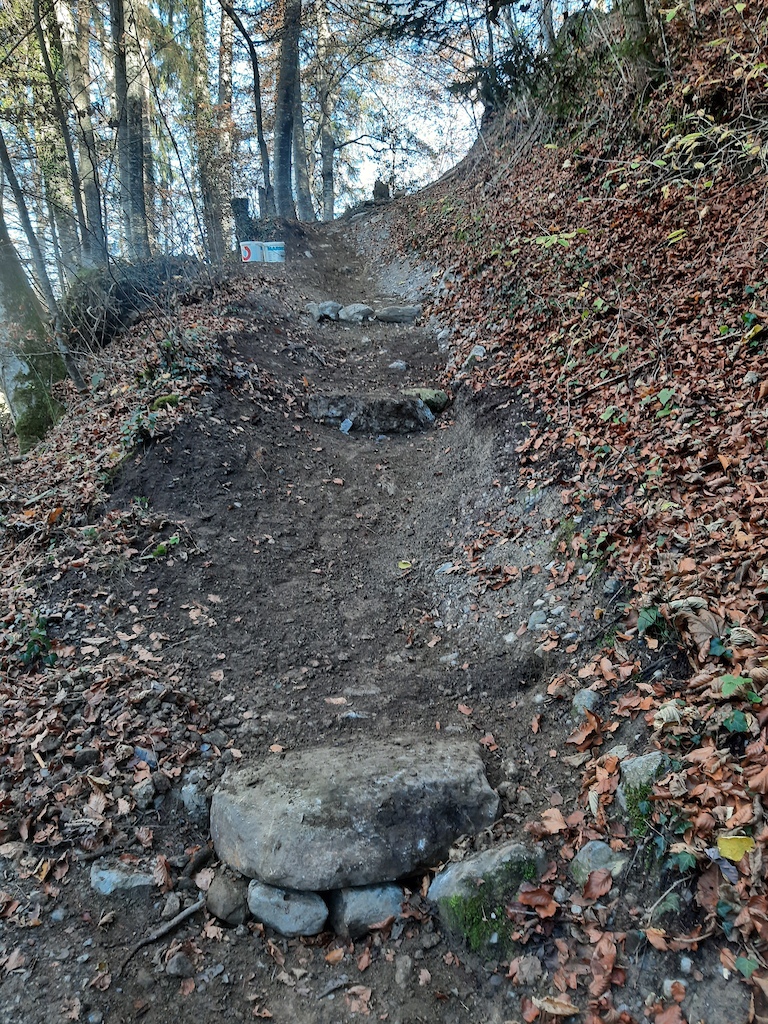 Trail maintenance 2020