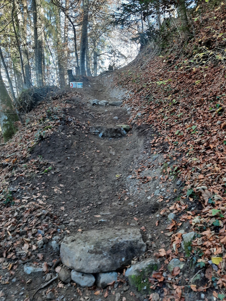 Trail maintenance 2020