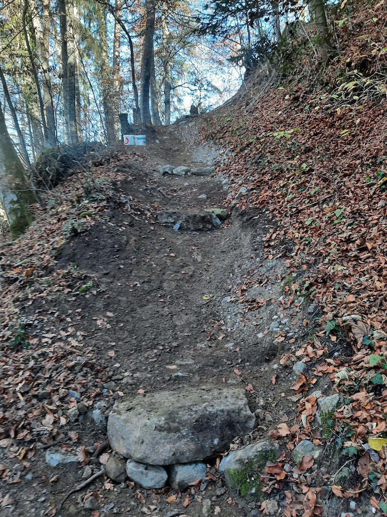 Trail maintenance 2020