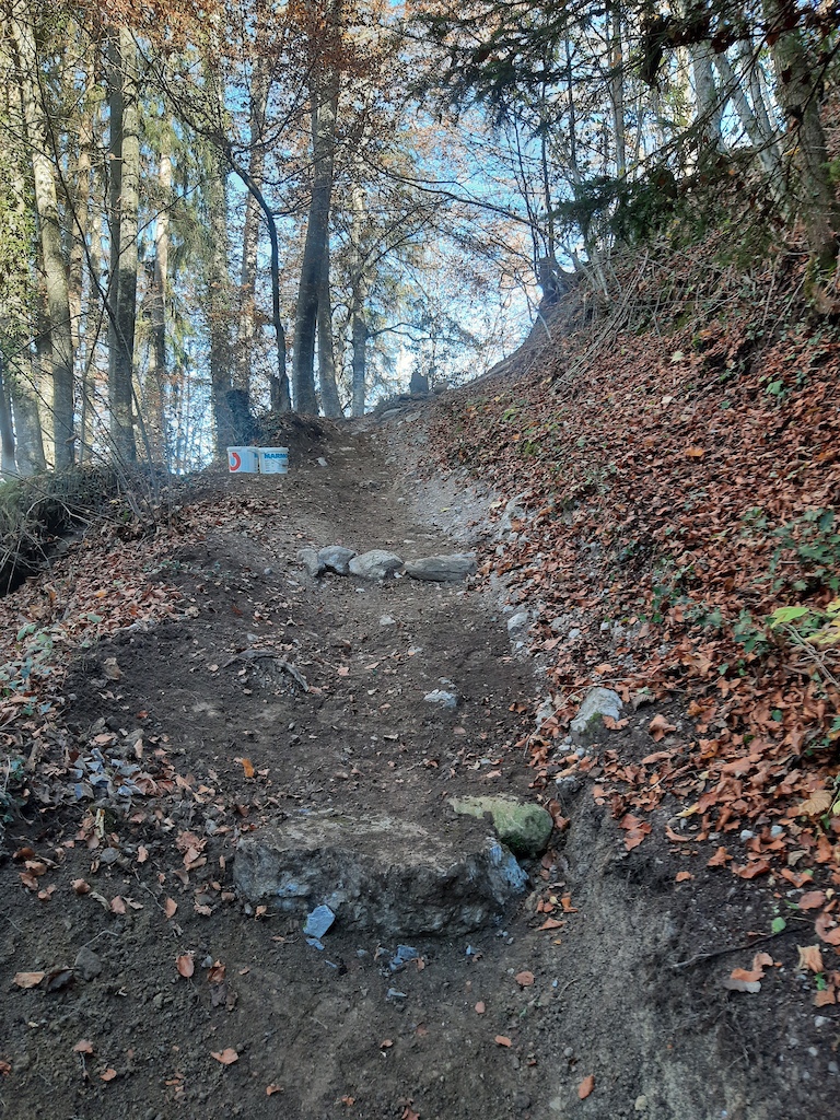 Trail maintenance 2020