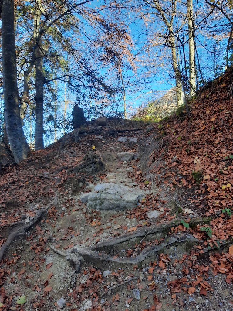 Trail maintenance 2020