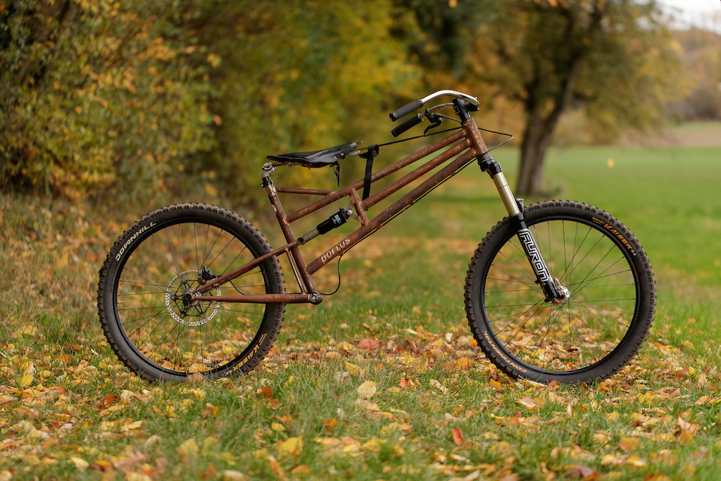 adult strider bike