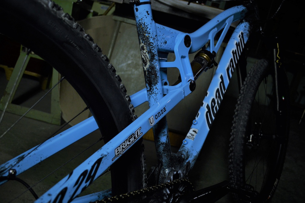 Seatstay details