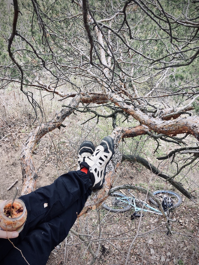 lunch up in a tree
