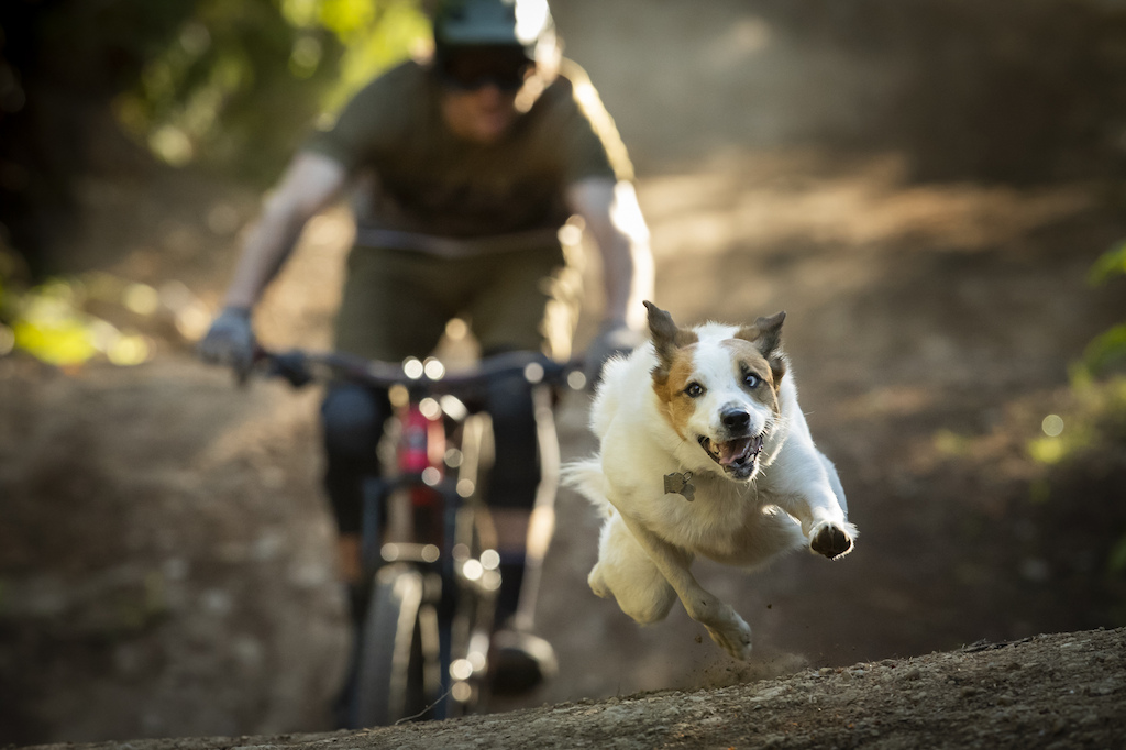 Eric Lawrenuk with Levi in Squamish BC